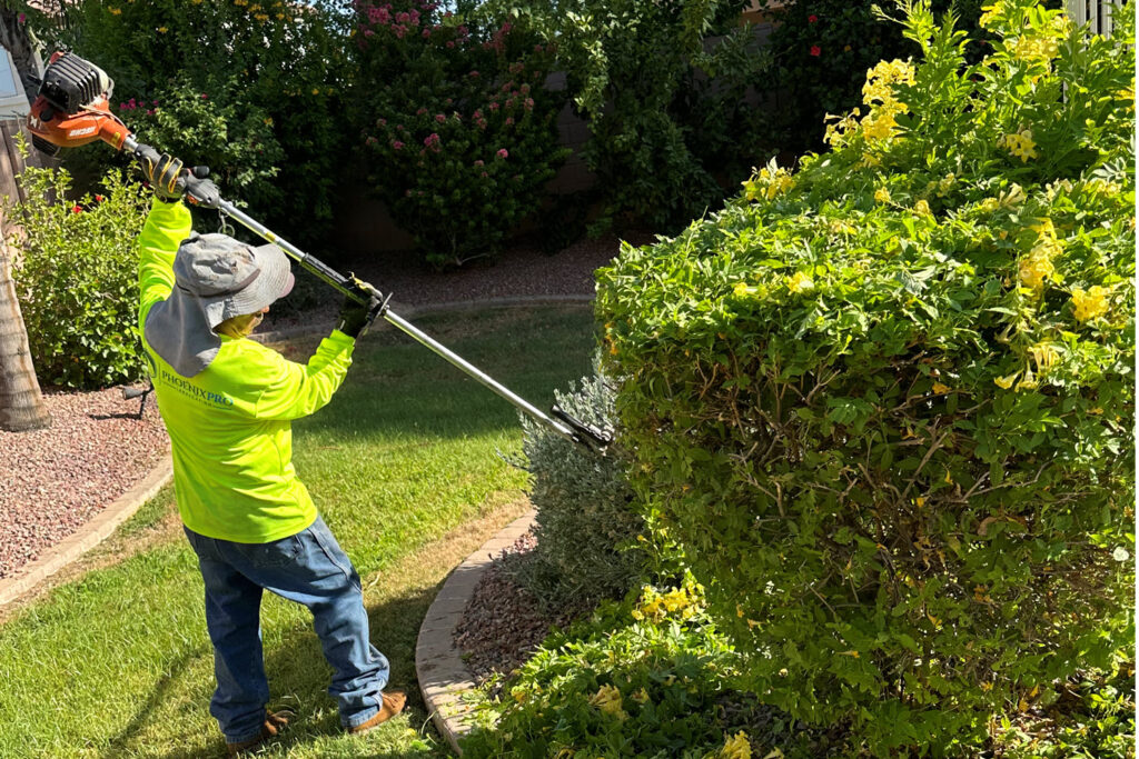 Trimming Bushes Landscaping