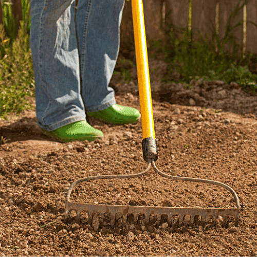Raking Soil And Adding Nutrients To Prepare For Sod