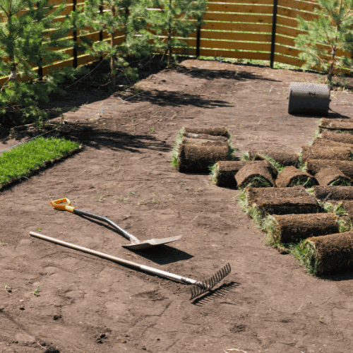 sod installation for a queen creek homeowner